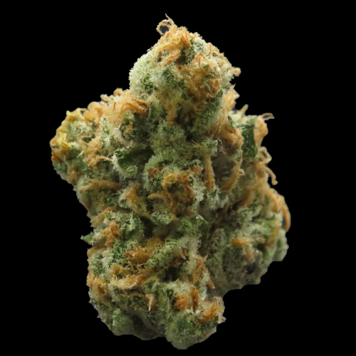 Strawberry Sour Diesel by Legacy